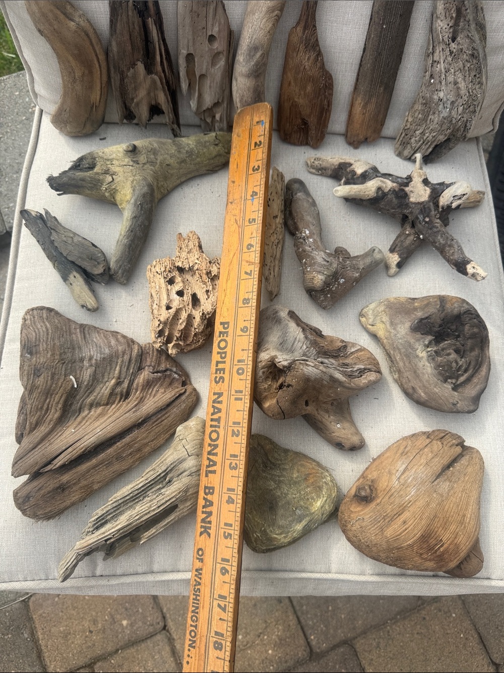 For LYNDA 19 pc (5 lb shipped) Natural Driftwood for Craft, Projects, Upcycle - Picture 14 of 16